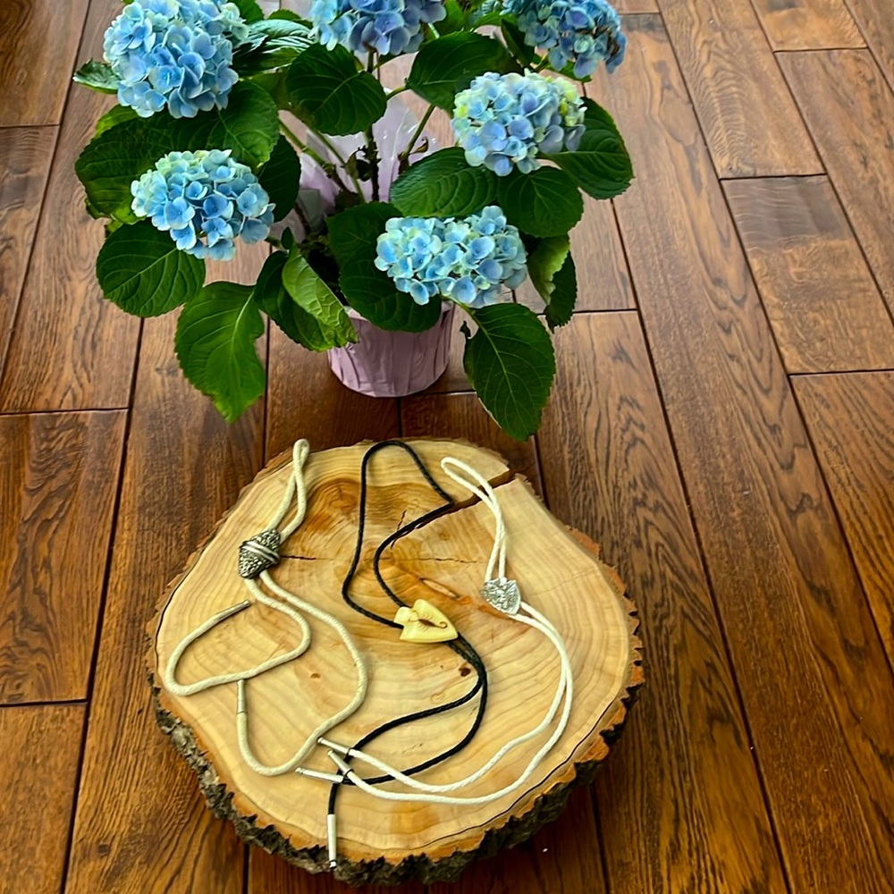 Three Bolo Ties!
